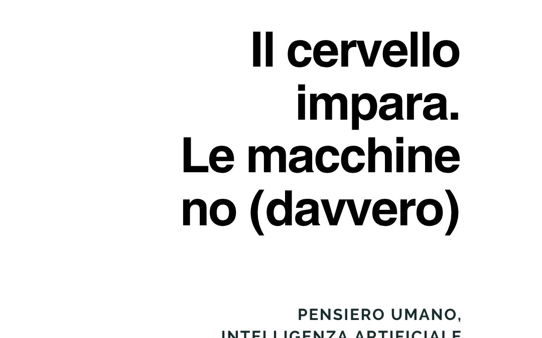 Il cervello impara. Le macchine no (davvero)